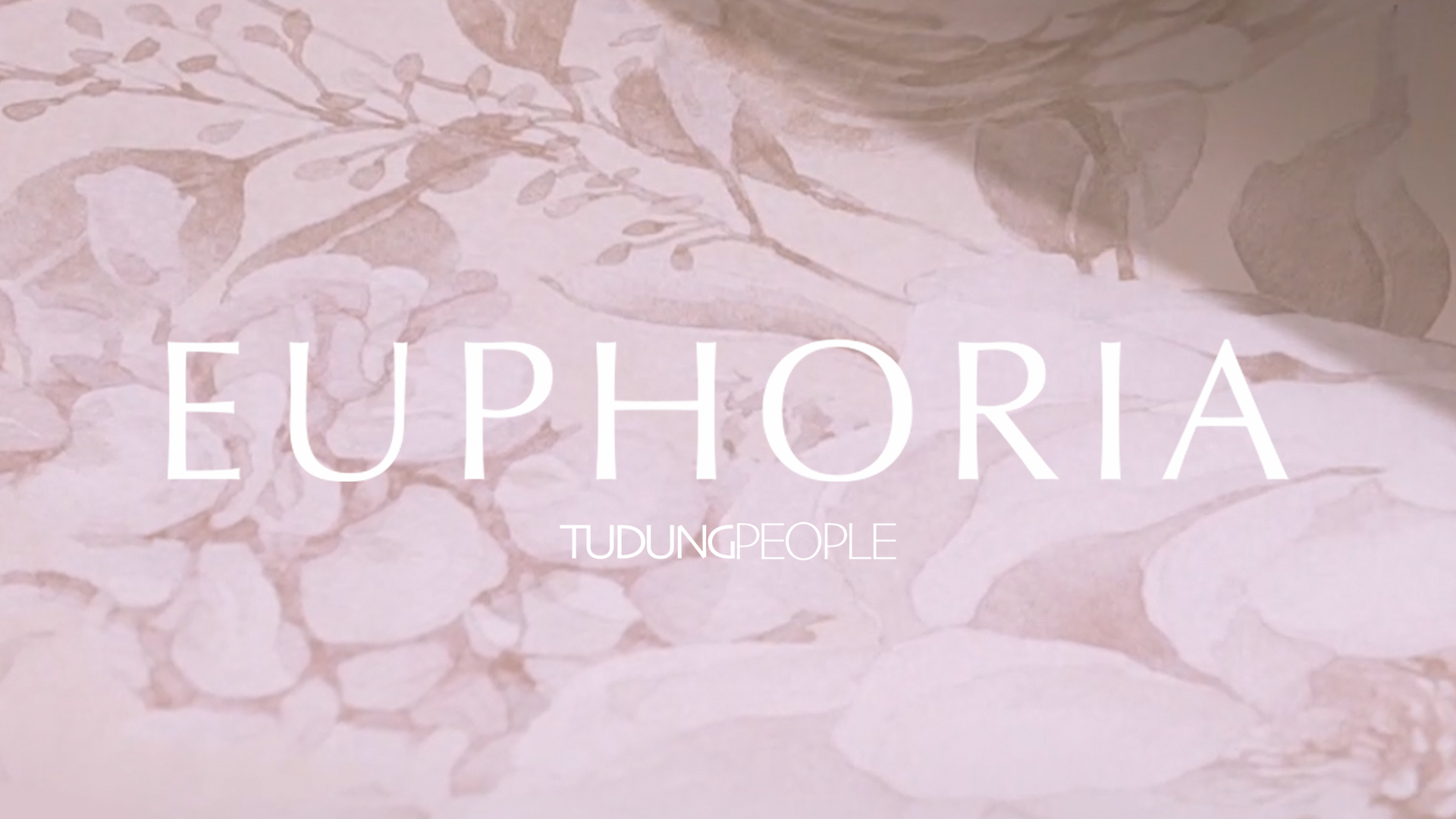 Read more about the article TudungPeople Euphoria